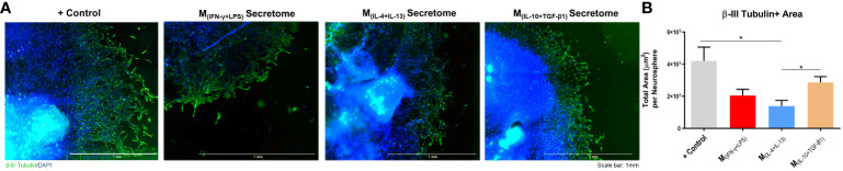 Figure 3