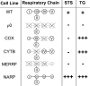 Figure 10.