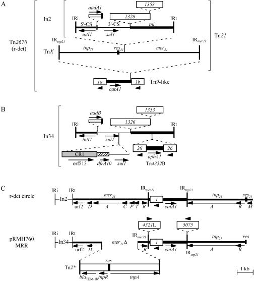 FIG. 1.