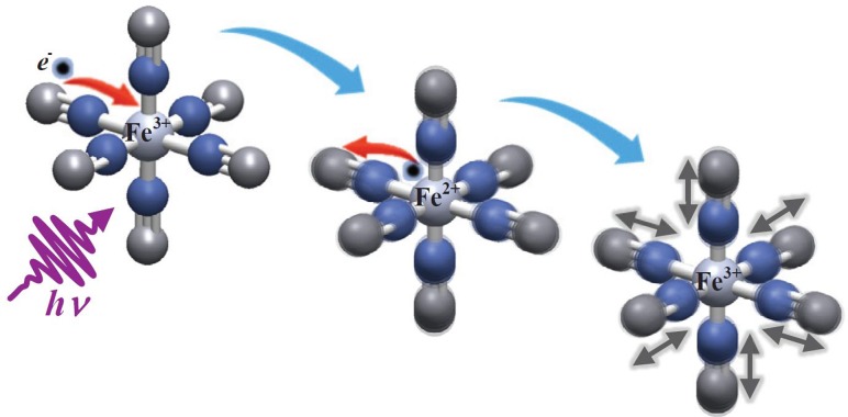 FIG. 14.