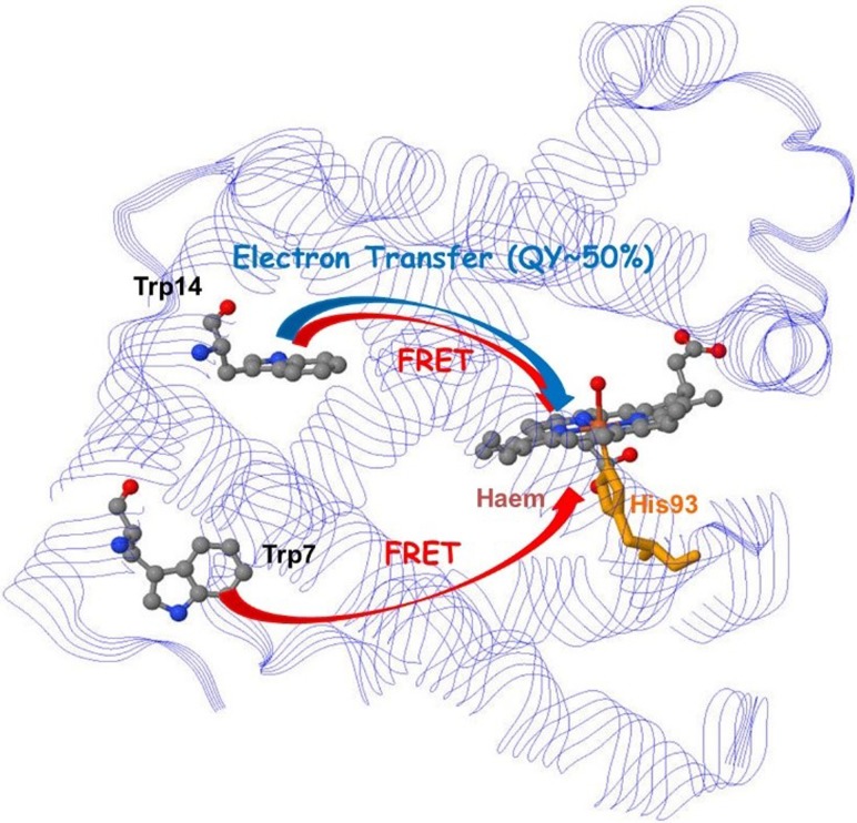 FIG. 16.