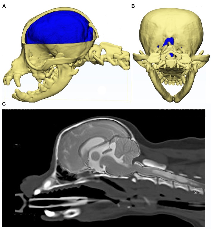 Figure 6