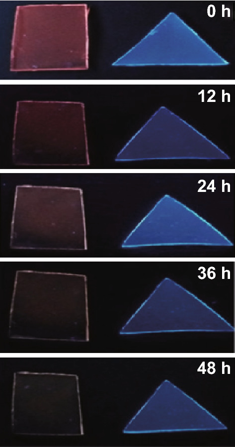 Fig. 8