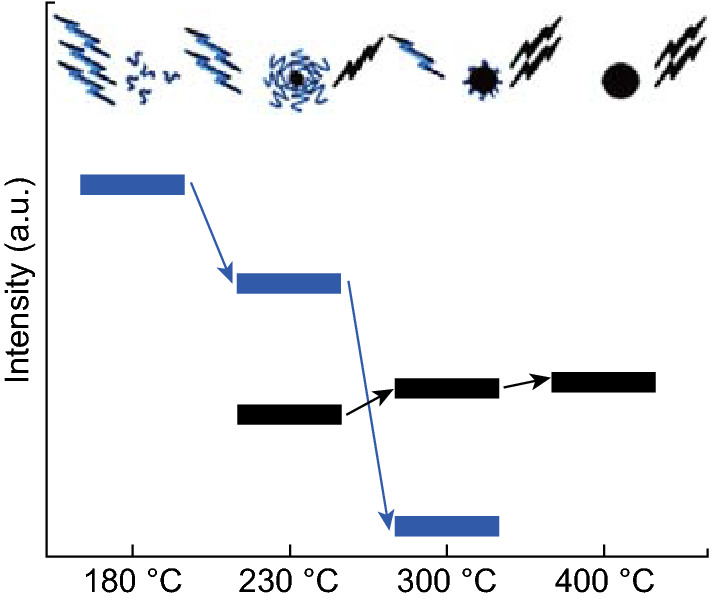 Fig. 12