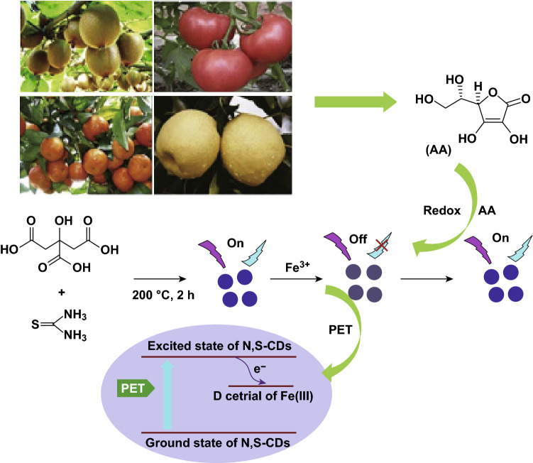 Fig. 20