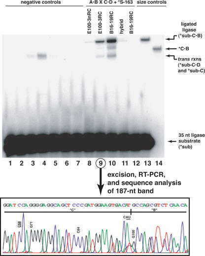 FIGURE 4.