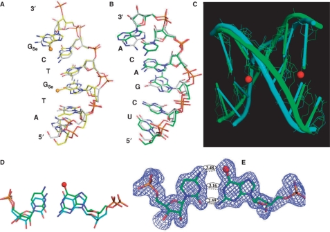 Figure 6.