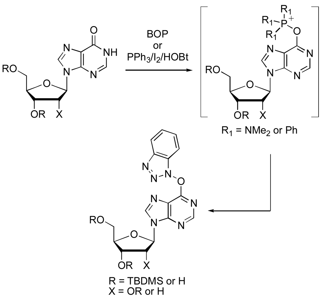 Scheme 1