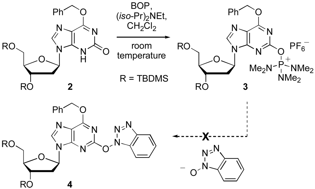 Scheme 3