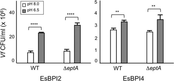 FIG 3 