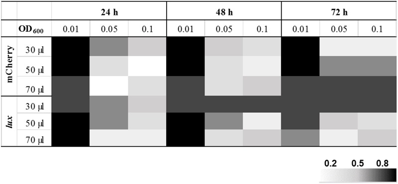 FIGURE 2