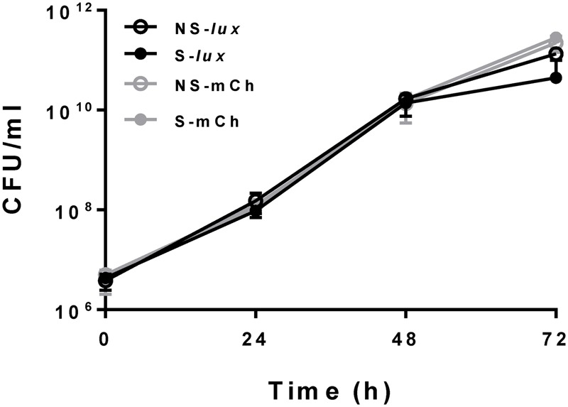 FIGURE 1