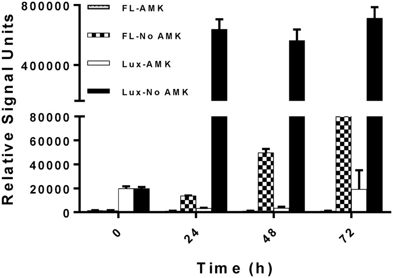 FIGURE 3