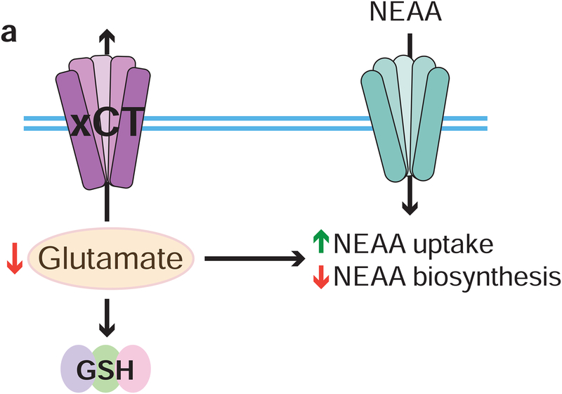 Figure 6: