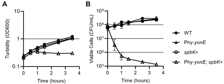 Fig 5