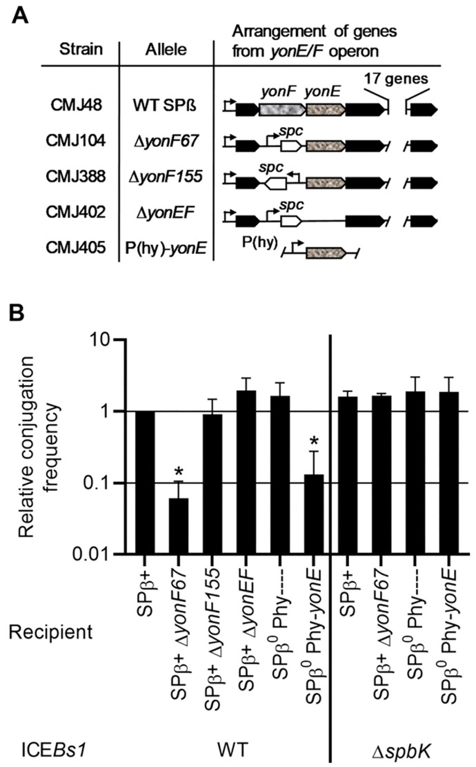 Fig 4