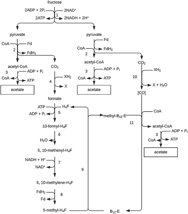 FIGURE 10