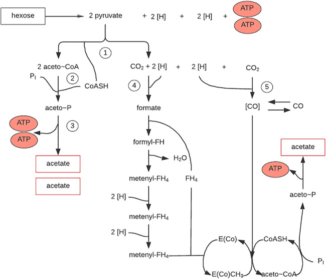 FIGURE 9