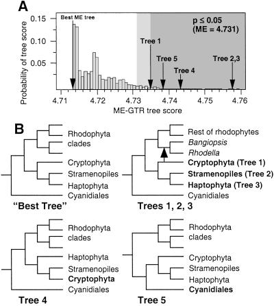 Fig 2.