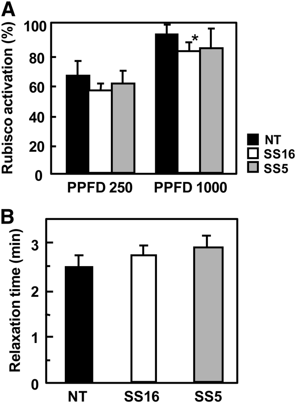 Figure 5.