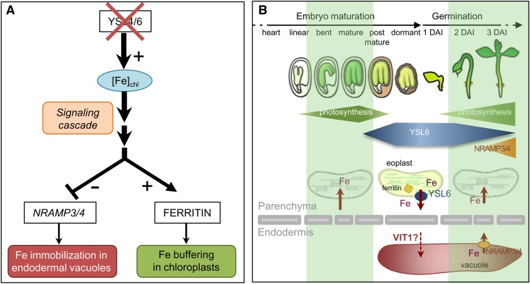 Figure 10.