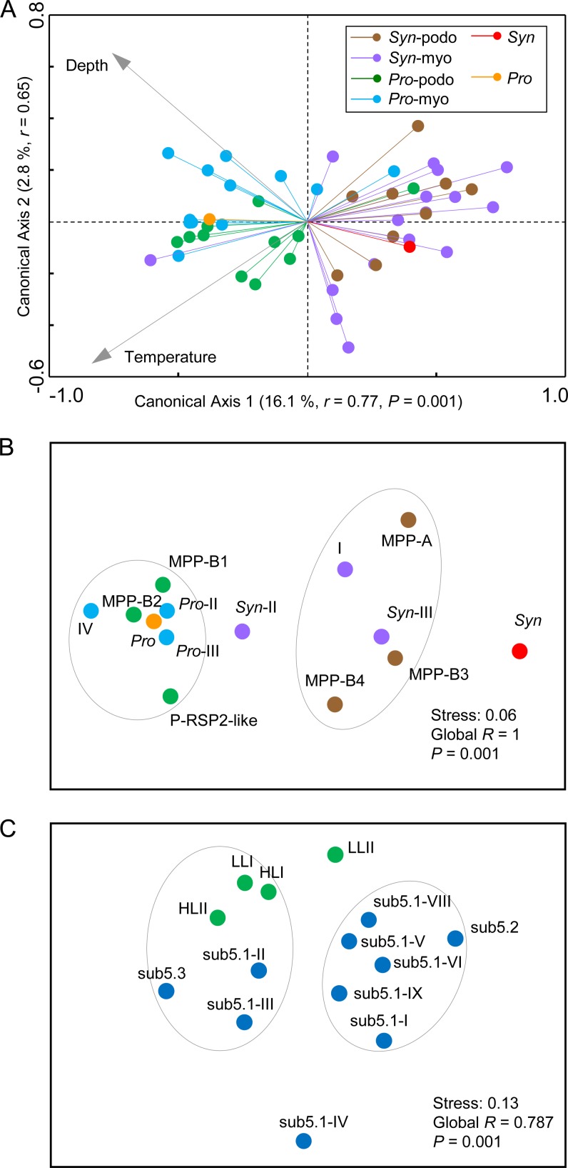 FIG 6