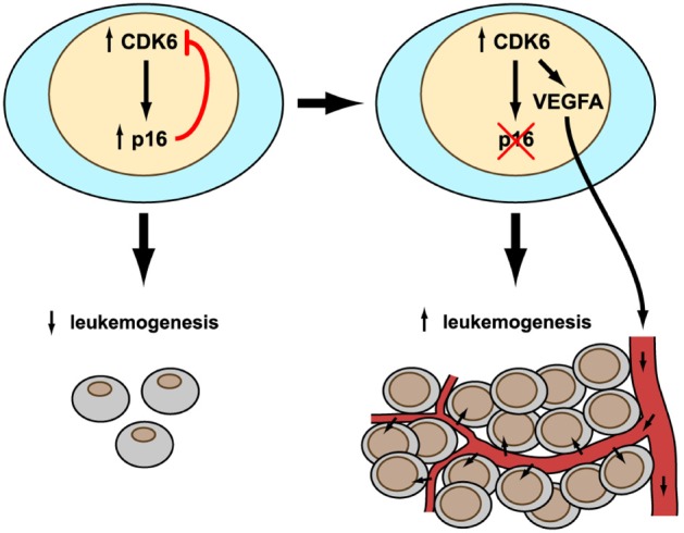 graphic file with name oncotarget-04-1858-g001.jpg