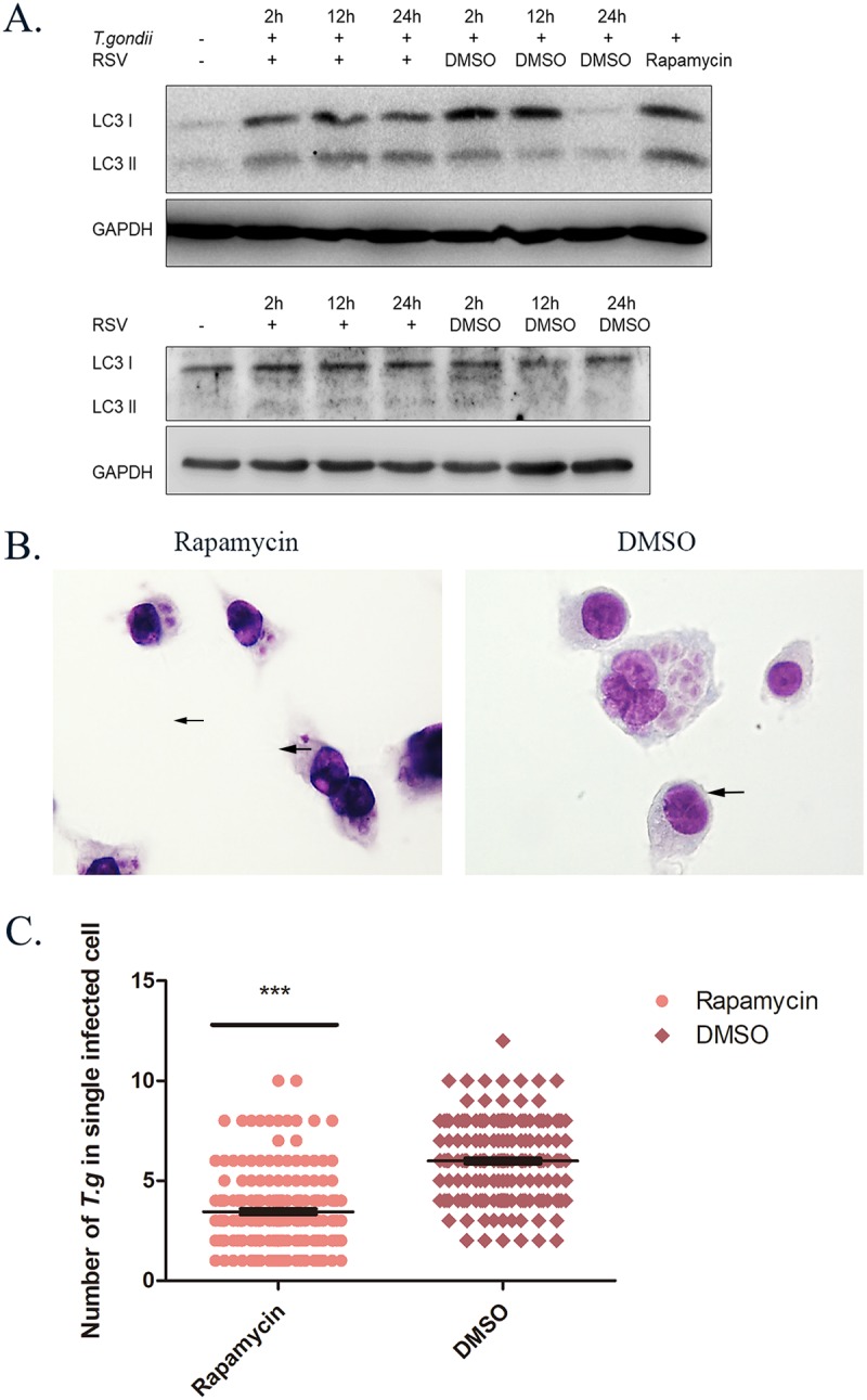 FIG 6