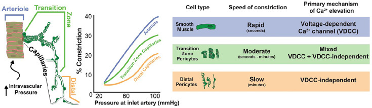 Fig. 8.