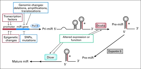 Fig 3.