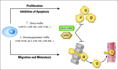 Fig 4.