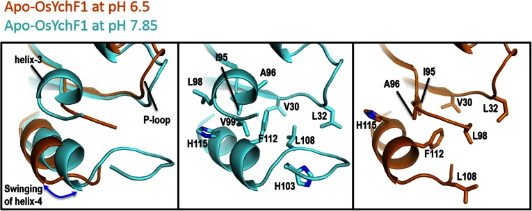 Fig. S3.