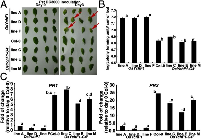 Fig. 4.