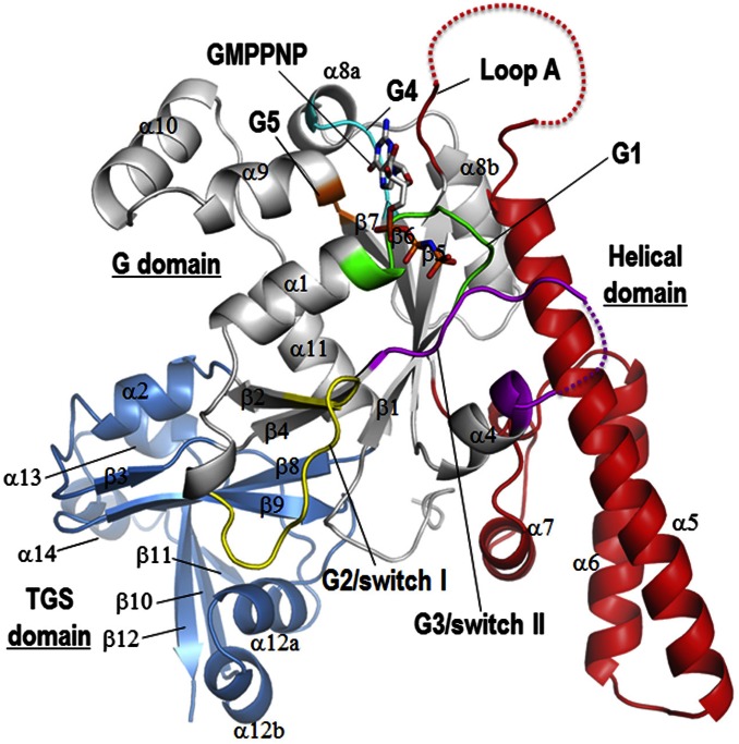 Fig. 1.