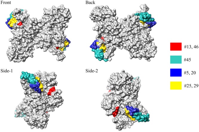 FIGURE 3