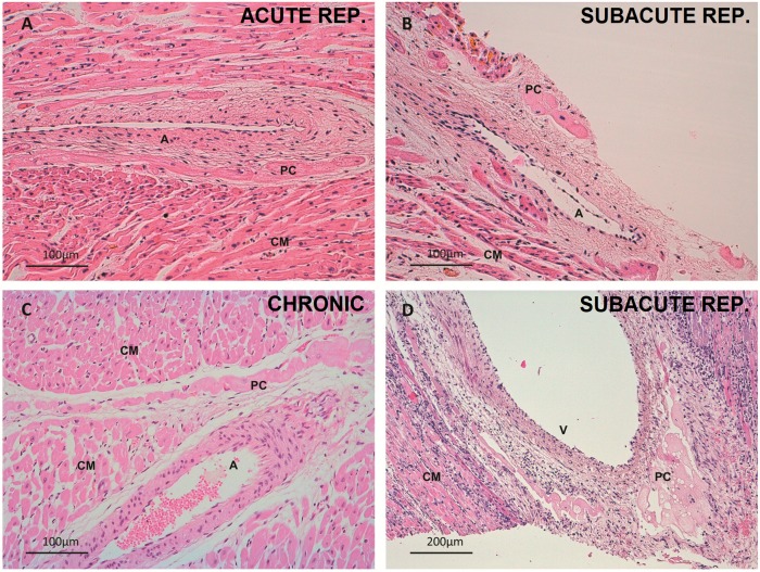 Fig 4