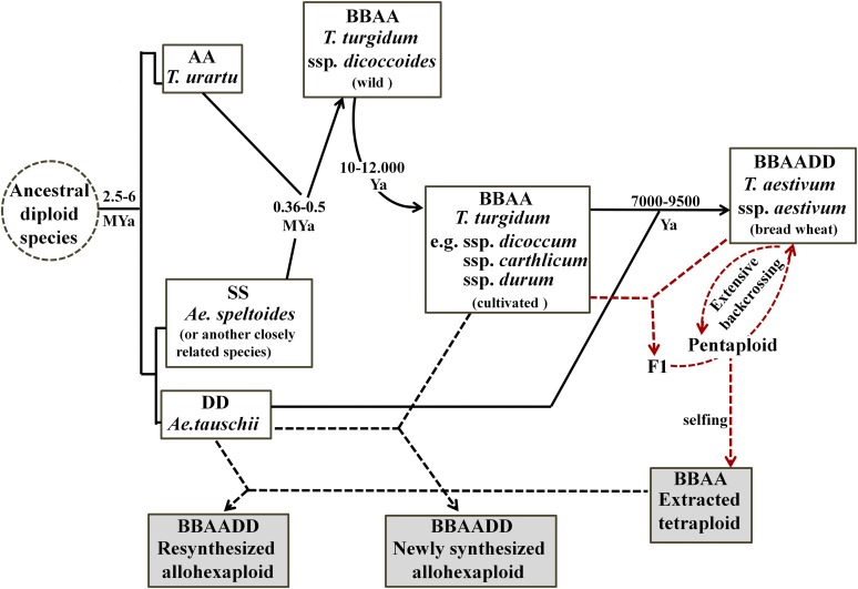 Figure 1.