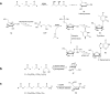 Scheme 6
