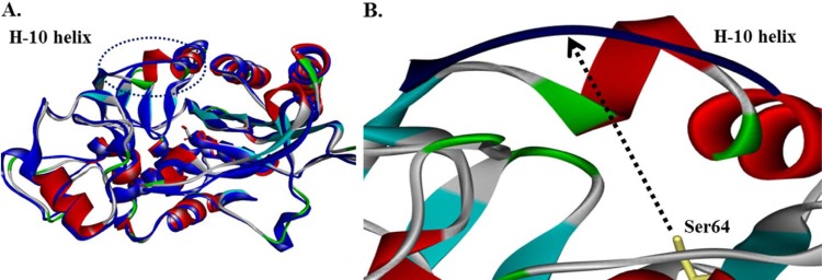 FIG 1