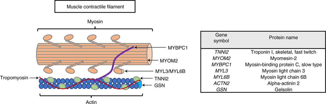 Fig. 3 |