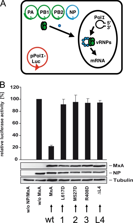 FIGURE 4.