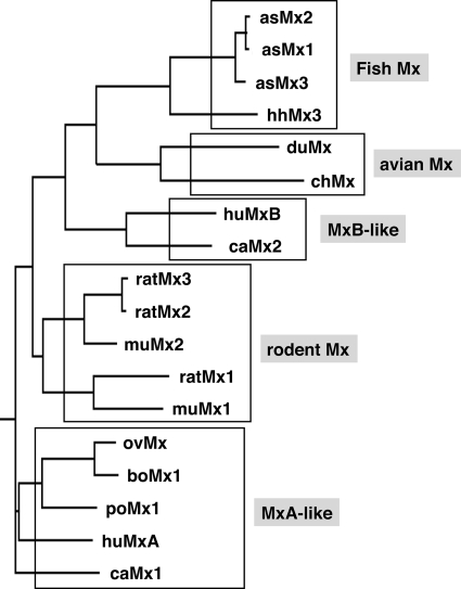 FIGURE 1.