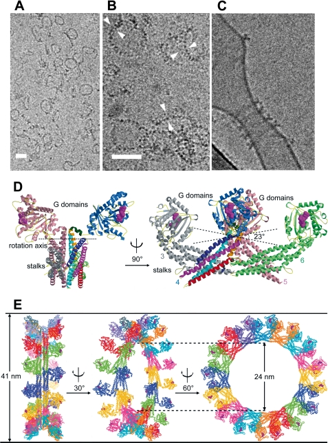 FIGURE 3.