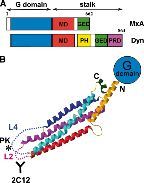 FIGURE 2.