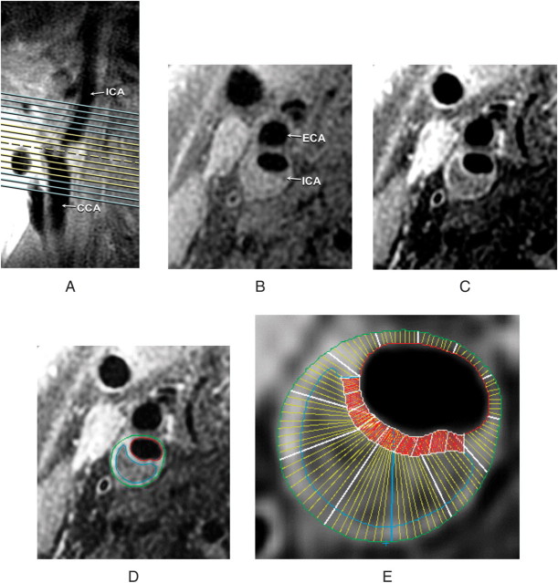 Figure 1