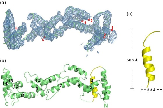 Figure 5