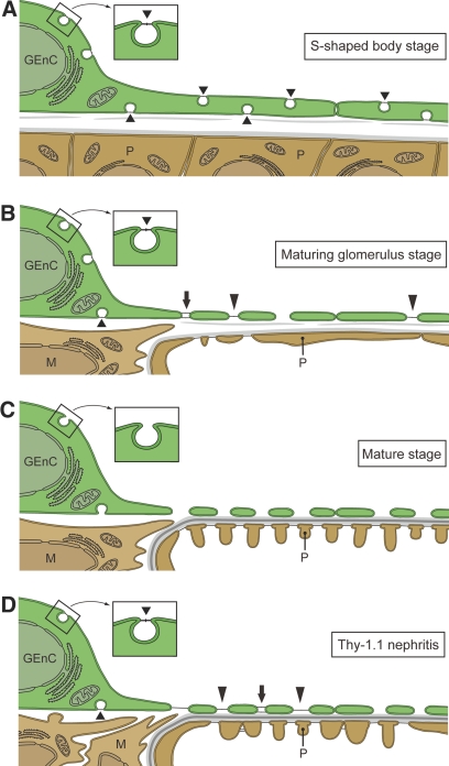 Figure 8.