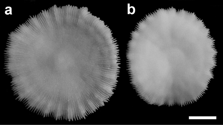 Figure 9.