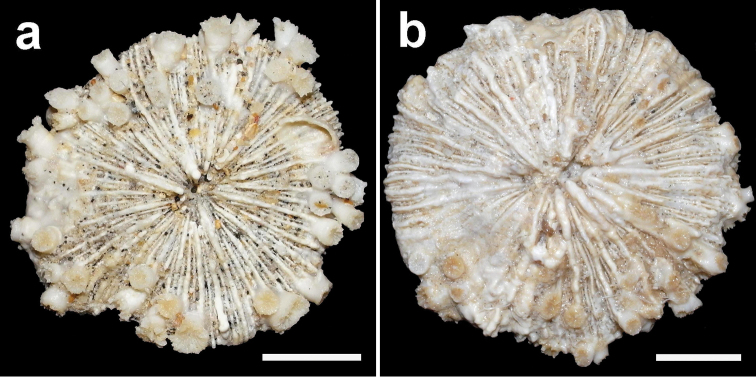 Figure 10.