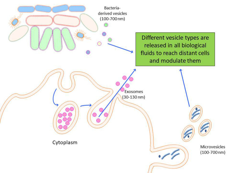 Figure 5